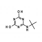  Terbuthylazine Metabolite 