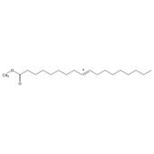  Methyl 9(E)-Octadecenoate 