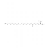  N-[3-(Dimethylamino)propyl] 