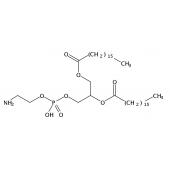  1,2-Diheptadecanoyl-sn-Glycero 