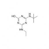  Terbuthylazine-2-hydroxy 