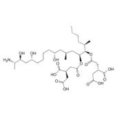  Fumonisin B1 CAS 116355-83-0 