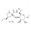  Clindamycin hydrochloride 