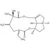  Seneciphylline N-oxide 