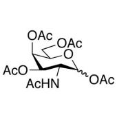  2-Acetamido-2-deoxy-D- 