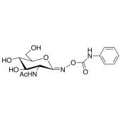  O-(2-Acetamido-2-deoxy-D-gluco 