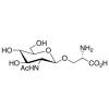  O-(2-Acetamido-2-deoxy-D-gluco 