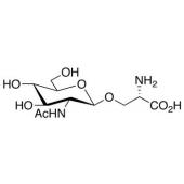  O-(2-Acetamido-2-deoxy-D-gluco 