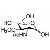  2-Acetamido-2-deoxy-3-O- 