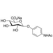  4-Acetamidophenyl -D-Glucu 