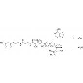  Acetoacetyl Coenzyme A Sodium 