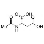  N-Acetyl-L-aspartic Acid 