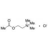  Acetylcholine Chloride 