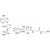  Acetyl Coenzyme A Trisodium 