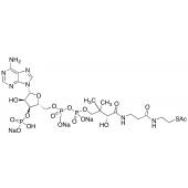  Acetyl Coenzyme A Trisodium 