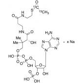  Acetyl-1,2-13C2 Coenzyme A 