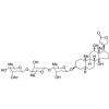  a-Acetyl Digoxin 