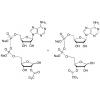  2'/3'-O-Acetyl ADP Ribose-d3 