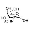  N-Acetyl-D-galactosamine 