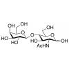  N-Acetyllactosamine 