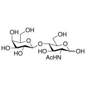  N-Acetyllactosamine 