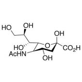  N-Acetylneuraminic Acid 