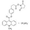  Acridinium C2 NHS Ester (>90%) 