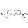  Acridine Orange Stain 