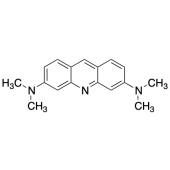  Acridine Orange Stain 