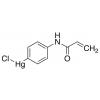  [(N-Acryloylamino)phenyl] 