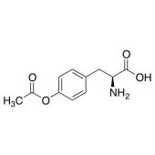  O-Acetyl-L-tyrosine 