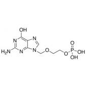  Acyclovir Monophosphate 