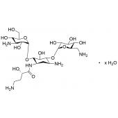  Amikacin Hydrate 