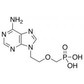  Adefovir 