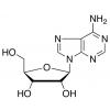  Adenosine 