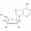  Adenosine-13C5 