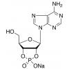  Adenosine-2,3-cyclic Mono 