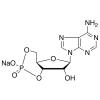  Adenosine-3,5-cyclic Mono 