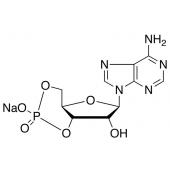  Adenosine-3,5-cyclic Mono 