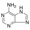  Adenine 