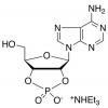  Adenosine 2,3-Cyclic 