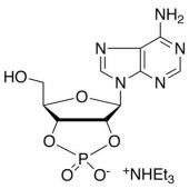  Adenosine 2,3-Cyclic 