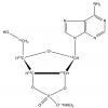  Adenosine 2,3-Cyclic Phos 