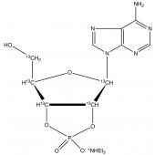  Adenosine 2,3-Cyclic Phos 