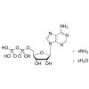  Adenosine 5-Diphosphate 