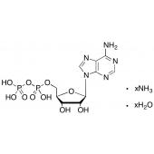  Adenosine 5-Diphosphate 