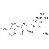  Adenosine 5'-Diphosphate 