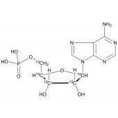  Adenosine 5'-Monophosphate- 