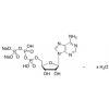  Adenosine 5-Triphosphate 