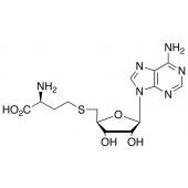  S-(5'-Adenosyl)-L-homocysteine 